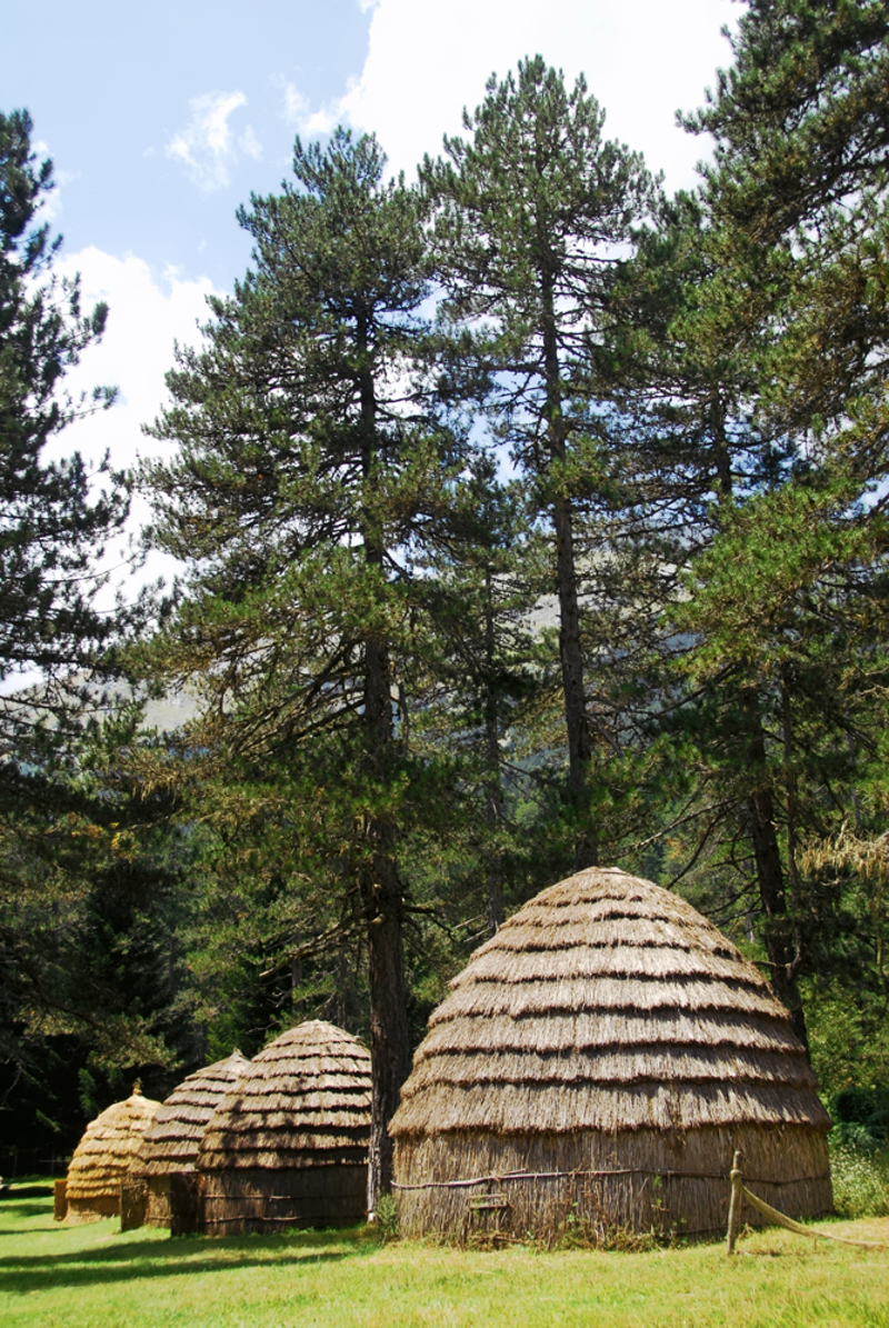 Σπάνια επίσκεψη στον Γυφτόκαμπο
