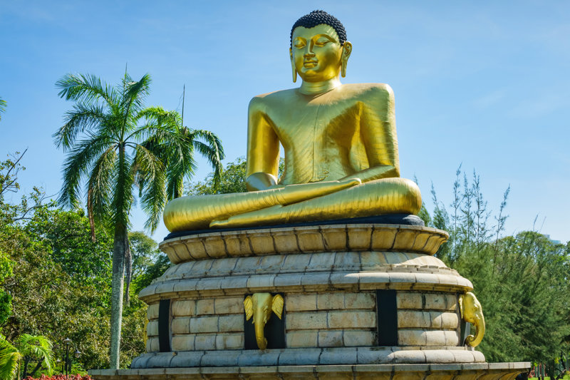 ΚΟΛΟΜΠΟ – πτήση επιστροφής 