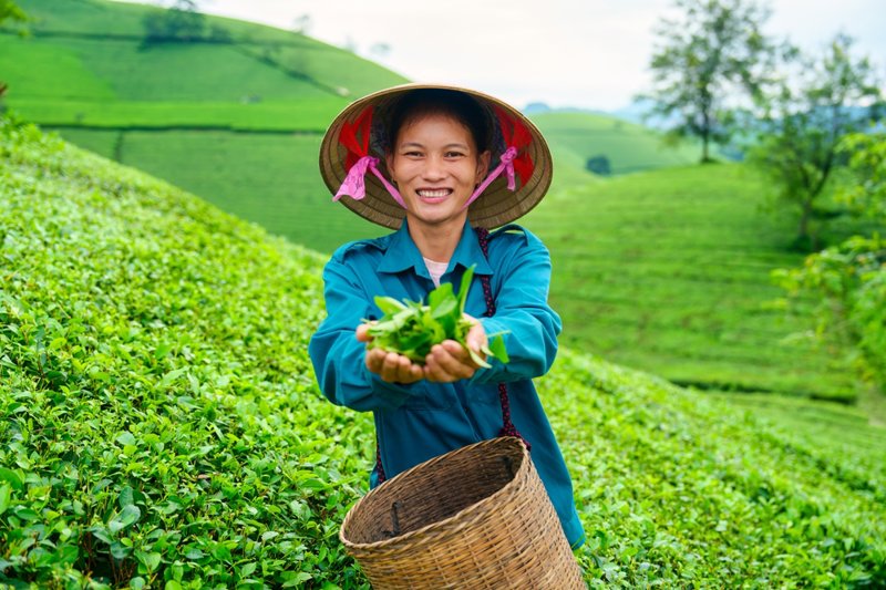 ΜΟΚ ΤΣΑΟΥ – ΓΥΑΛΙΝΗ ΓΕΦΥΡΑ ΜΠΑΚ ΛΟΝΓΚ – ΑΝΟΪ