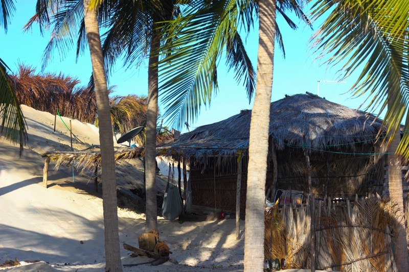 ΛΕΝΣΟΪΣ – ΣΑΛΒΑΔΟΡ