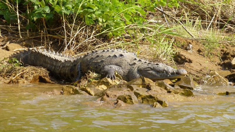 Σαν Κριστόμπαλ ντε λας Κάσας – Τούξλα Γκουτιέρες