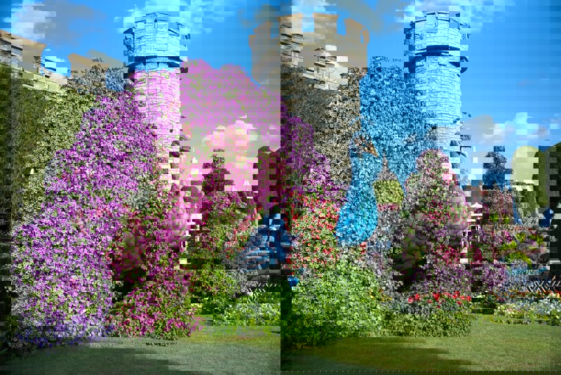 Miracle Gardens, Ντουμπάι