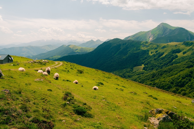Parc Animalier des Pyrénées