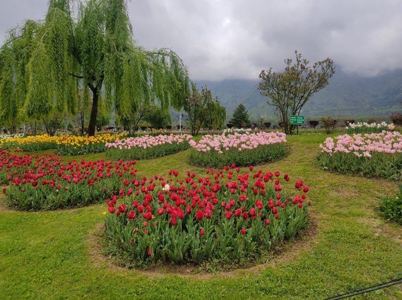 Οι ξακουστοί μογγόλικοι κήποι
