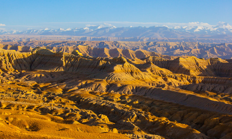 Γνωρίζουμε το περίφημο Πέτρινο Δάσος 