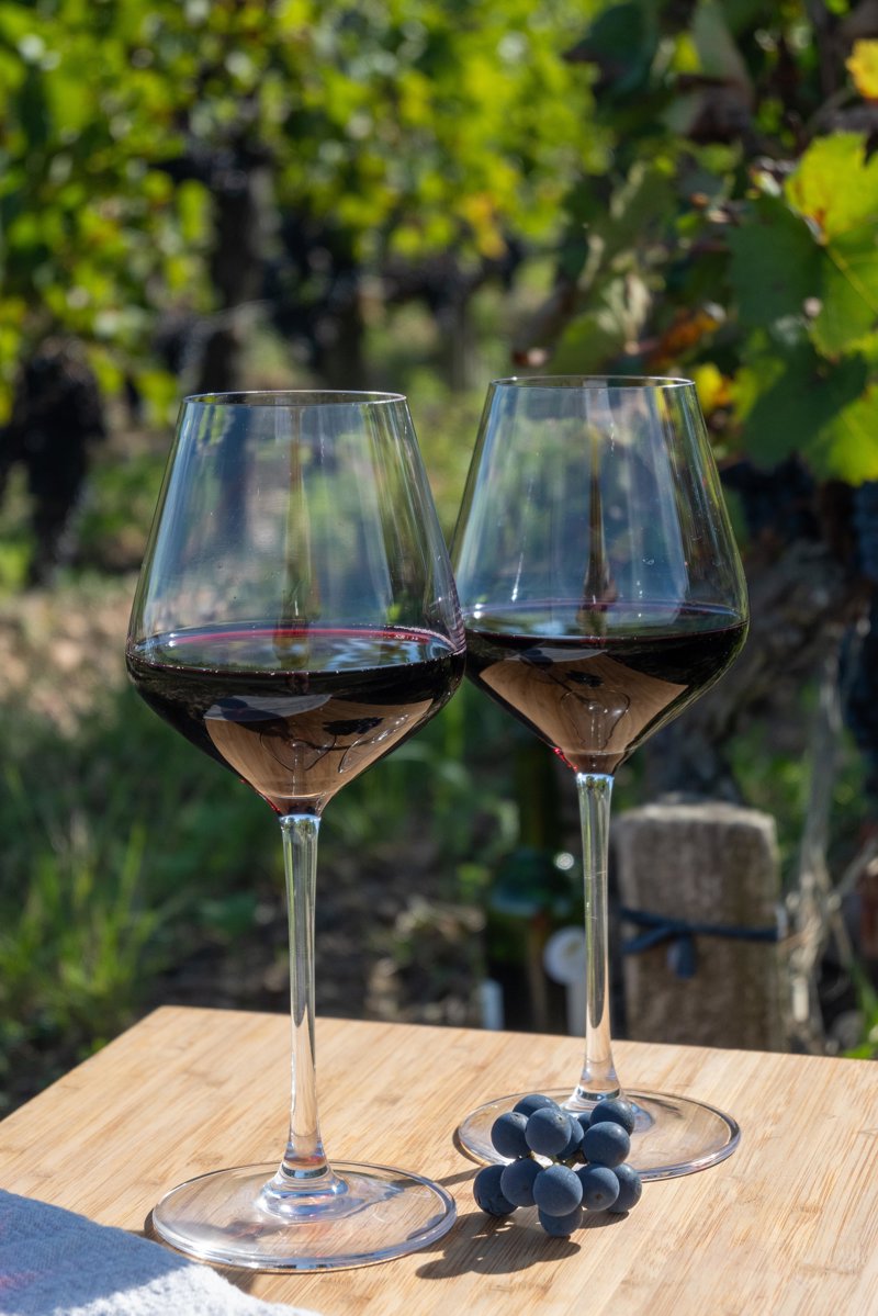 Σπάνια οινογνωσία σε αυθεντικό σατώ