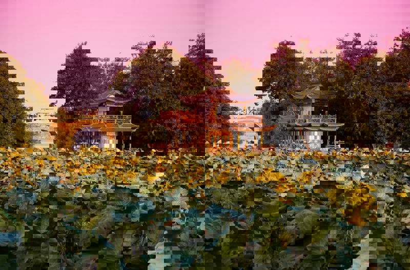 Ο Βοτανικός κήπος