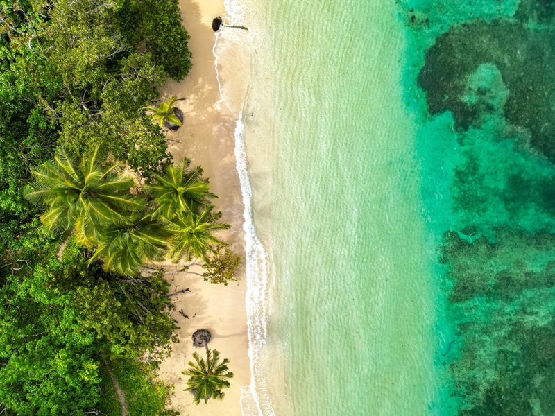 Εκδρομή με πλοιάριο 