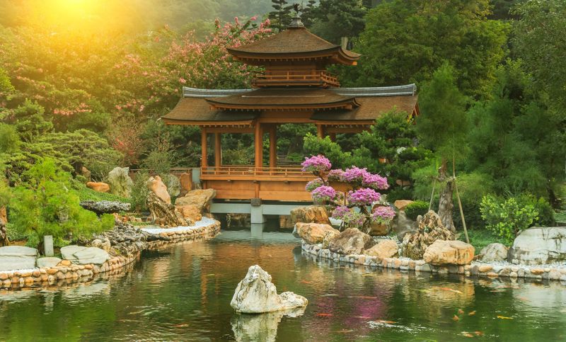 ΧΟΝΓΚ ΚΟΝΓΚ (Ξενάγηση)