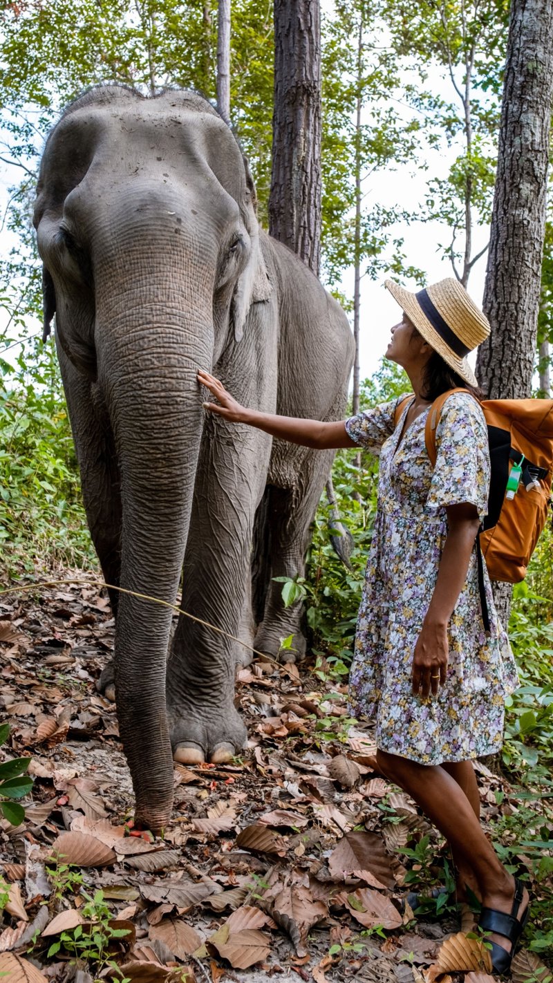 Επίσκεψη σε φάρμα ελεφάντων!