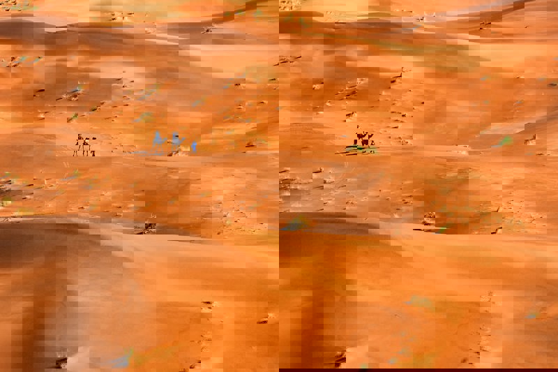 Ηλιοβασίλεμα στην έρημο