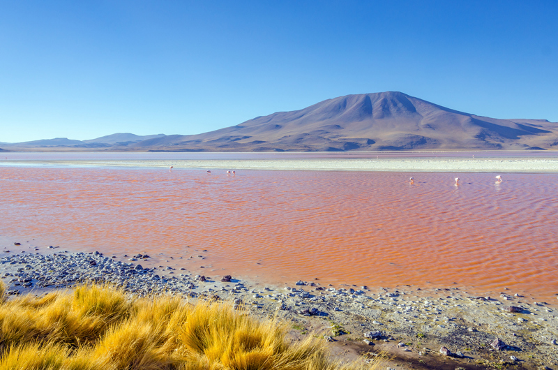  ΣΑΝ ΠΕΔΡΟ ΝΤΕ ΑΤΑΚΑΜΑ – ΕΘΝΙΚΟ ΠΑΡΚΟ ΑΒΑΡΟΑ [ΒΟΛΙΒΙΑ] – ΣΑΝ ΚΡΙΣΤΟΜΠΑΛ 