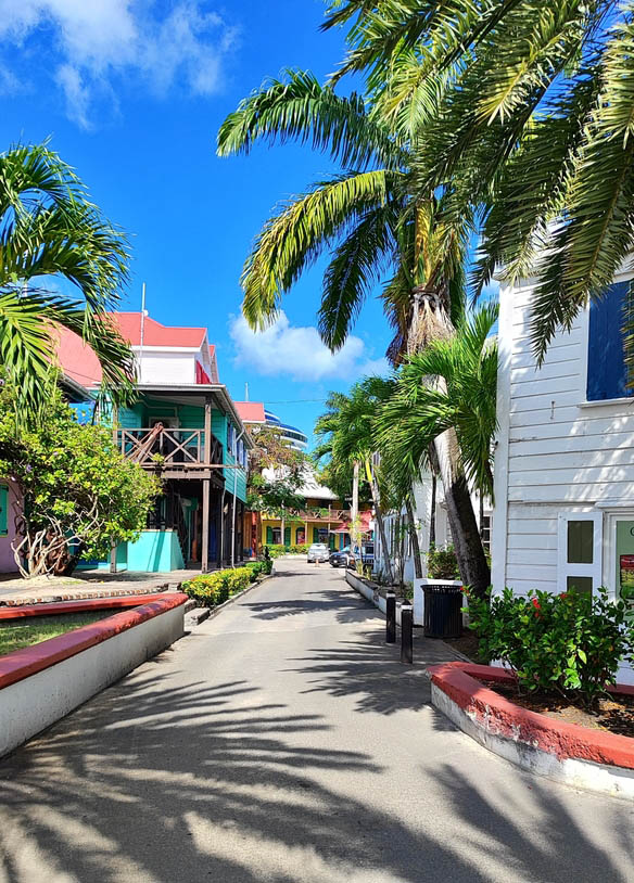 Κάντε βόλτα στο Μπελίζ Σίτι 