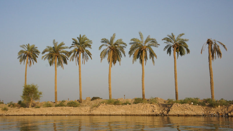 ΒΑΣΟΡΑ: Ξενάγηση & Βαρκάδα στον ποταμό Σατ-αλ-Αράμπ