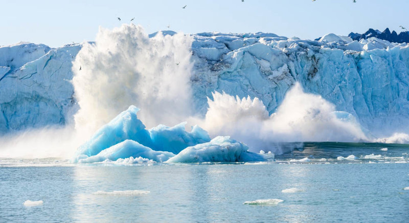 Κρουαζιέρα στους παγετώνες & παρατήρηση άγριας ζωής