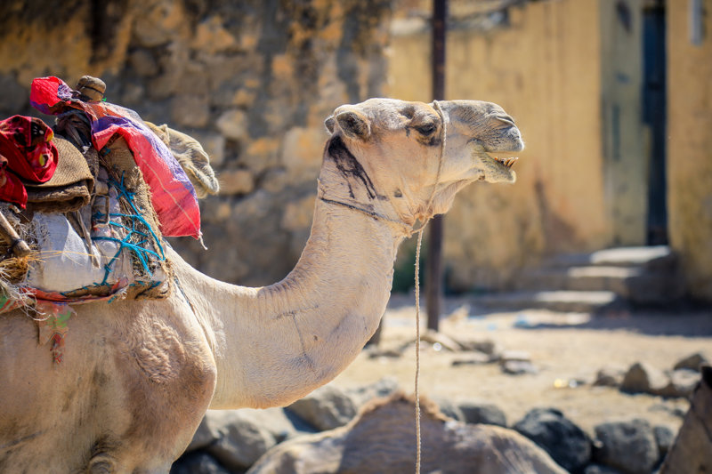 Περιηγηθείτε στην ιστορική Κερέν
