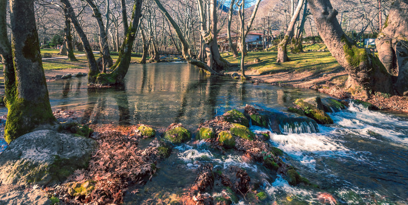 Γνωρίστε την όμορφη Νάουσα