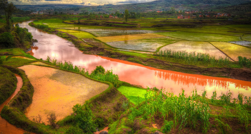 Ορυζώνες κοντά στην Αντσιράμπε 