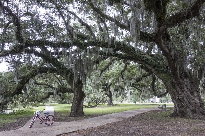 Ανάπαυλα κάτω από τα δέντρα του City Park