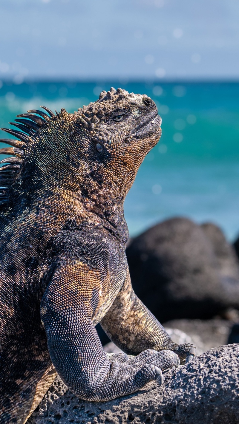 Τρεις διανυκτερεύσεις στα νησιά Γκαλαπάγκος