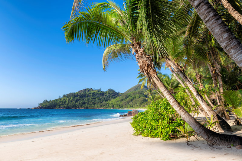 ΜΟΝΤΕΓΚΟ ΜΠΕΪ (ελεύθερη ημέρα)