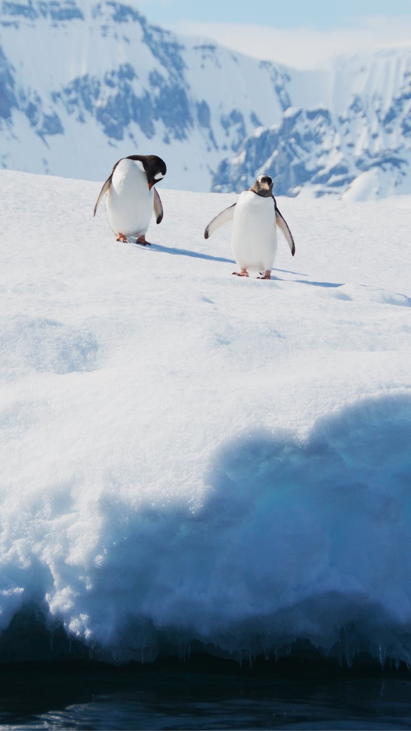 Μοναδικές εκδρομές καθ' όλη τη διάρκεια του ταξιδιού