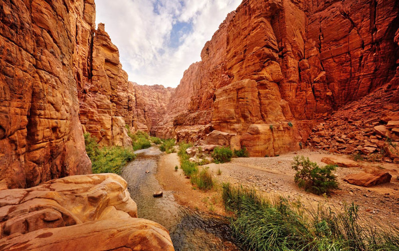 Το μεγαλειώδες Ουάντι Μουτζίμπ 