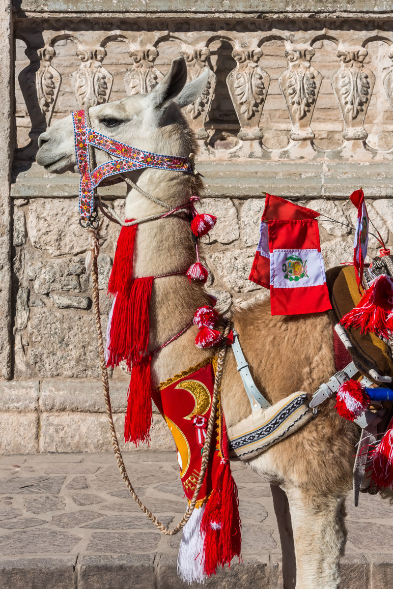 Διαμονή στην Αρεκίπα
