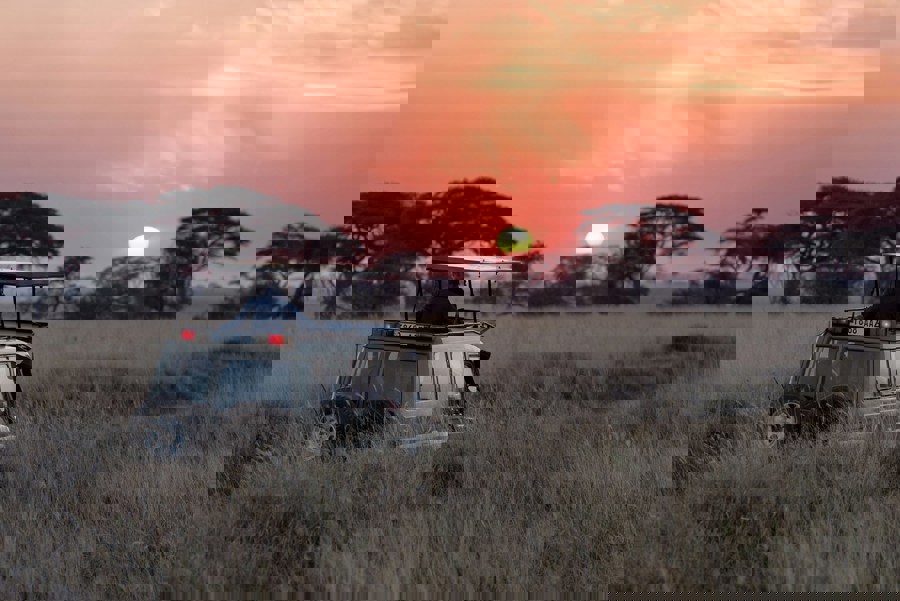 Τανζανια σαφαρι