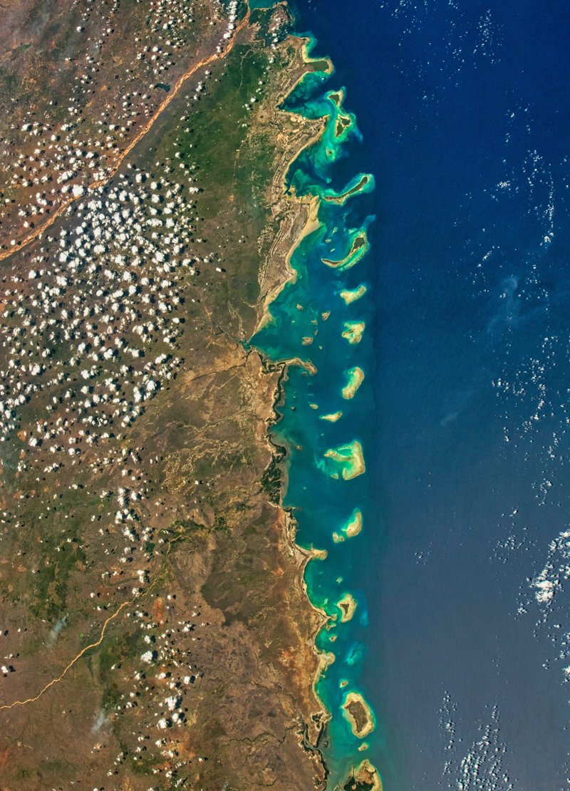 Έμπειρος Έλληνας αρχηγός - συνοδός