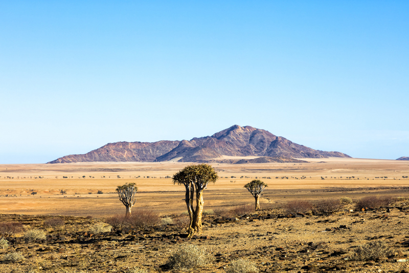 "Η χώρα όπου δεν υπάρχει τίποτα"