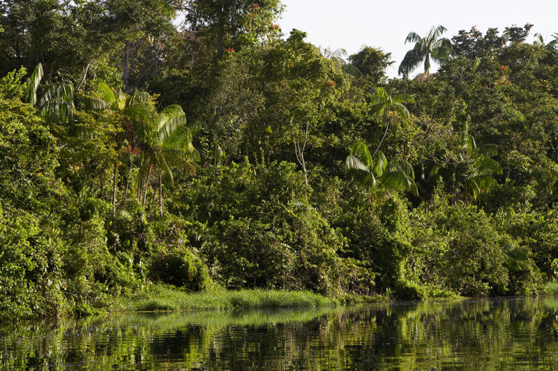 Ιστιοπλοΐα στο Caño Manamo