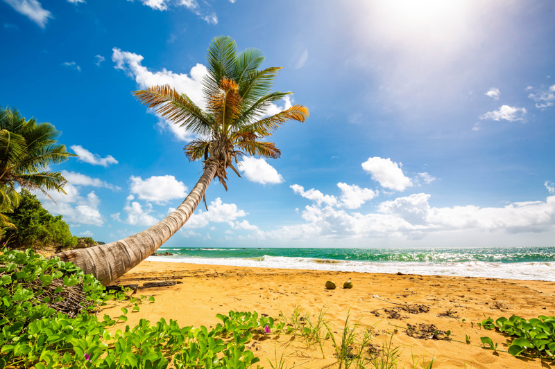 ΣΑΝ ΧΟΥΑΝ - ΦΛΑΜΙΝΓΚΟ ΜΠΙΤΣ (ΝΗΣΟΣ ΚΟΥΛΕΜΠΡΑ) - ΙΣΠΑΝΙΚΕΣ ΠΑΡΘΕΝΟΙ ΝΗΣΟΙ