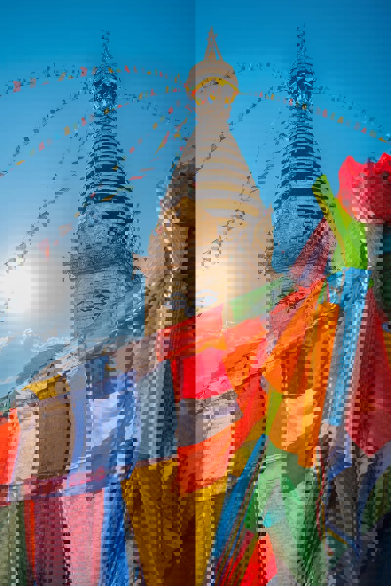  Εξειδικευμένοι αρχηγοί 