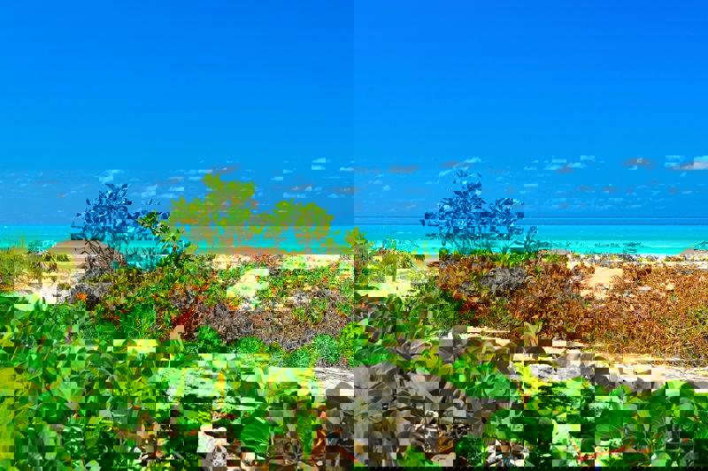 Κούβα - Μεξικό Σίτι 5* με το Versus