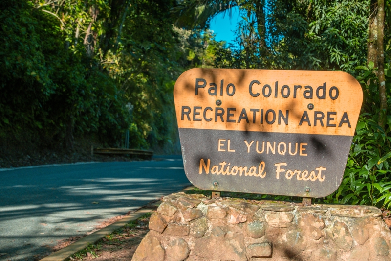 Περπατήστε στο El Yunque
