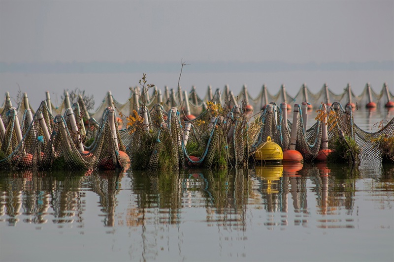 Λίμνη Κερκίνη