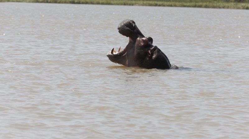 ΜΠΑΧΙΡ ΝΤΑΡ (ΛΙΜΝΗ ΤΑΝΑ)