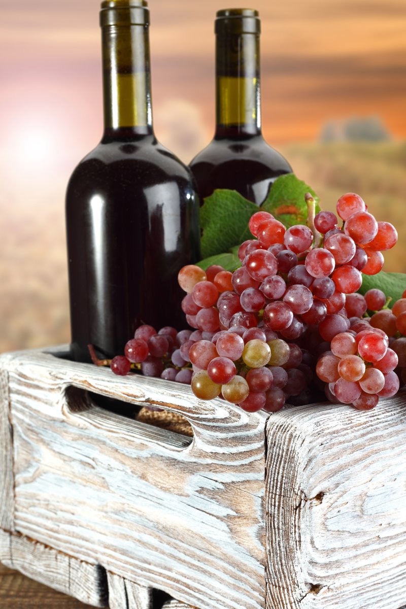 Οινογνωσία στην Κωνσταντία