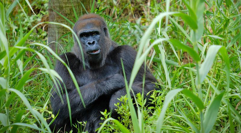 ΠΤΗΣΗ ΕΠΙΣΤΡΟΦΗΣ – ΑΦΙΞΗ ΣΕ ΑΘΗΝΑ/ΘΕΣΣΑΛΟΝΙΚΗ/ ΛΑΡΝΑΚΑ