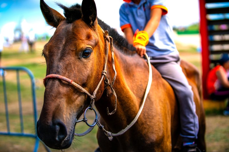 ΟΥΛΑΝ ΜΠΑΤΟΡ - ΧΟΥΙ ΝΤΟΛΟΝ ΧΟΥΝΤΑΝΓΚ (ιππικοί αγώνες) - ΟΥΛΑΝ ΜΠΑΤΟΝ (περιήγηση) 