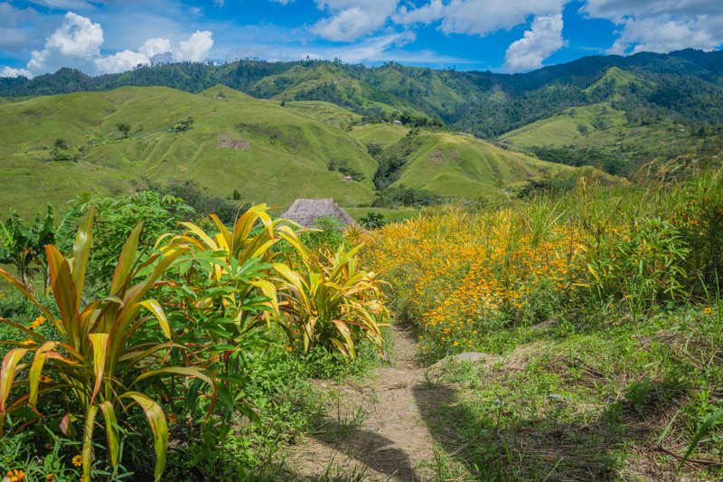 ΠΟΡΤ ΜΟΡΕΣΜΠΙ – πτήση για ΜΑΟΥΝΤ ΧΑΓΚΕΝ