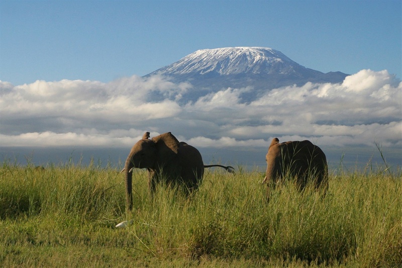  ΕΘΝΙΚΟ ΠΑΡΚΟ ΑΜΠΟΣΕΛΙ (ΣΑΦΑΡΙ) 