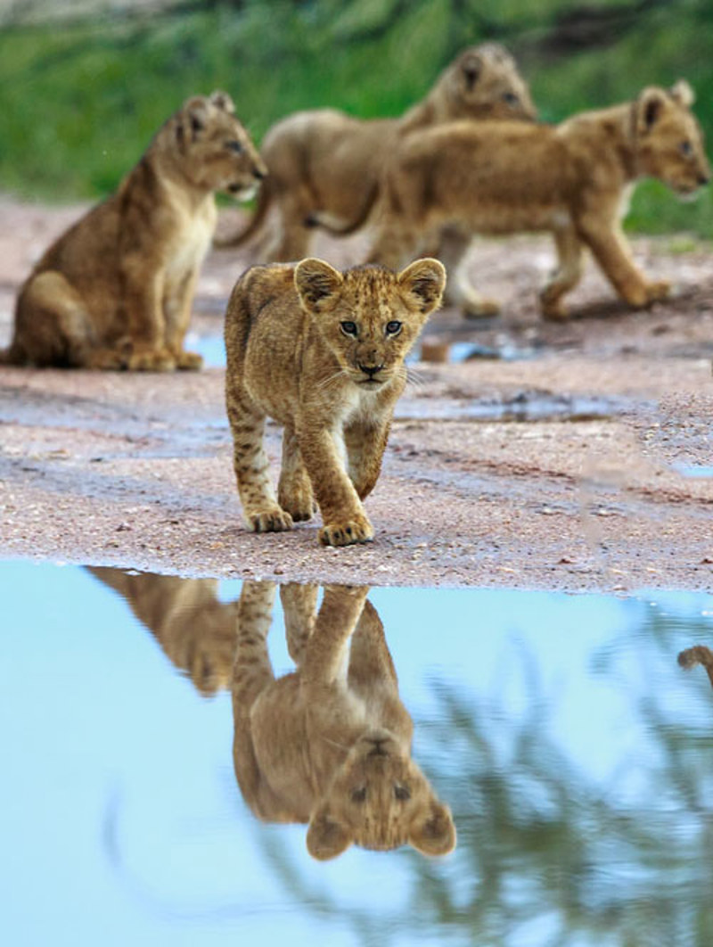 Εξαιρετική Διαμονή