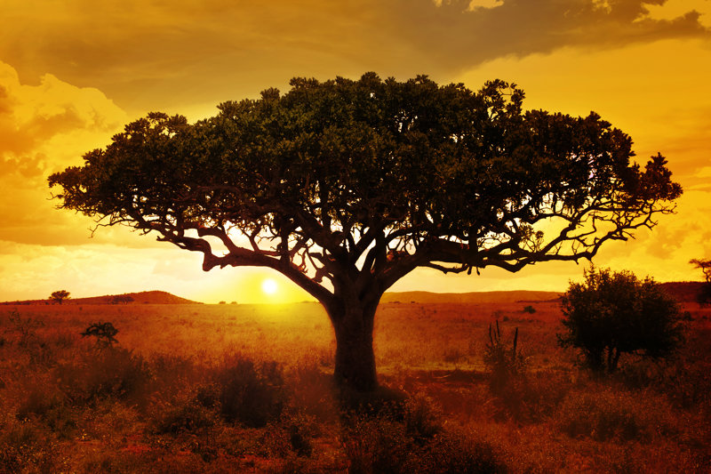 Εθνικό Πάρκο Κρούγκερ, Νότια Αφρική