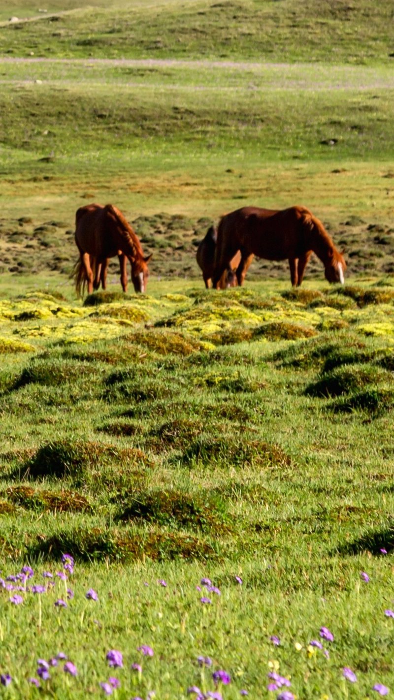 Εξερεύνηση της κοιλάδας Τσον Κεμίν