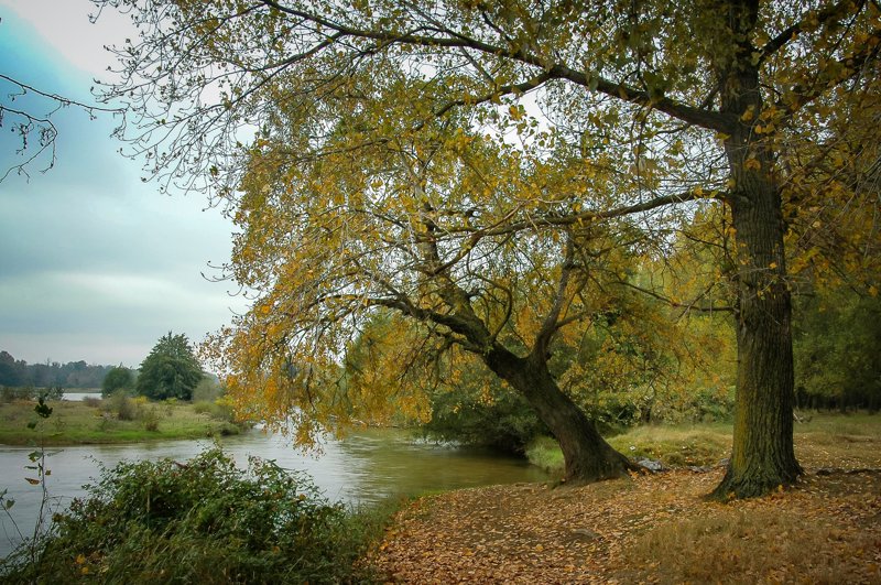 Αλεξανδρούπολη – Στενά Νέστου – Παραποτάμιο Δάσος Νέστου & Τοξότες – Αθήνα