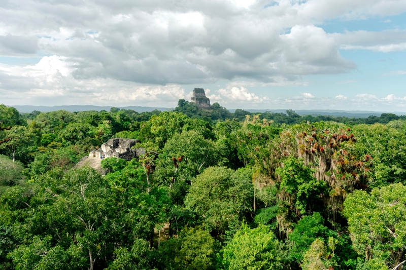 Γνωρίστε τη πυκνή ζούγκλα της Γουατεμάλας