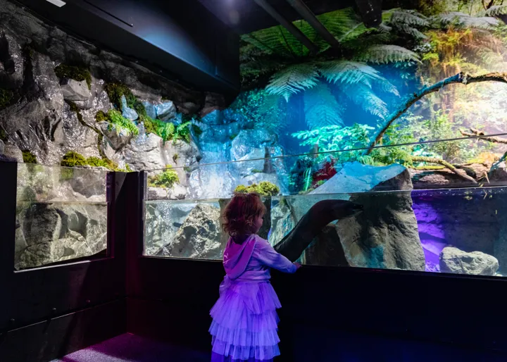 Το ενυδρείο Kelly Tarlton’s