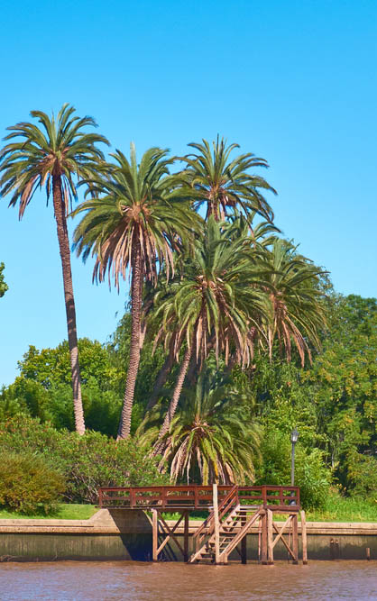 Κάντε βόλτα στο Δέλτα του Τίγκρε 